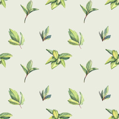 Seamless pattern with watercolor and digital green grass and leaves on blue background. Hand-drawn bush with bud. Wallpaper for invite card, wedding celebration and sticker. Art for wrapping