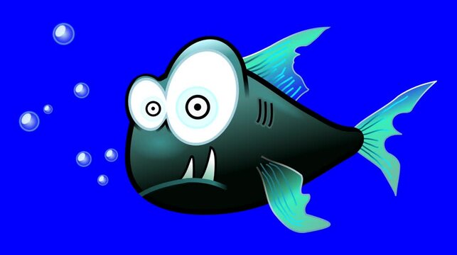 Piranha cartoon animation blue screen video