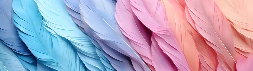 bird feathers, multi-colored, background, pastel tone, blue and pink, omputer wallpaper, phone...