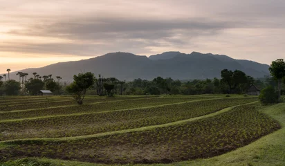 Tuinposter Agricultural, farmers' fields hills and scenic landscape of rural parts of Bali island, Tulamben, Karangasem district  at sunrise © Vladimir