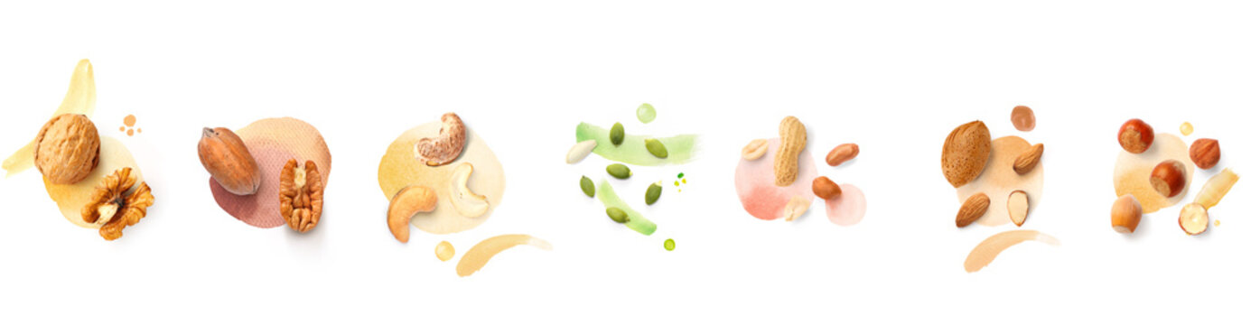 Creative layout made of pecan, almond, pumpkin seeds, walnut, cashew, hazelnut on the white background with watercolor spots. Flat lay. Macro concept of nuts and seeds.