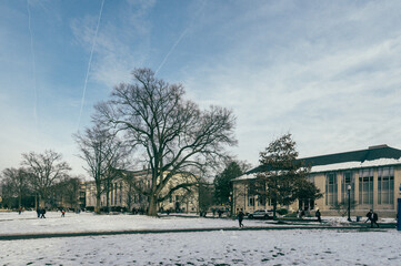American University, after snow, Winter, DC 