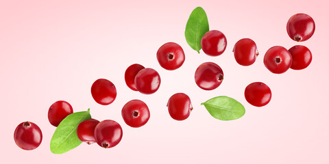 Fresh red cranberries and green leaves flying on pink background