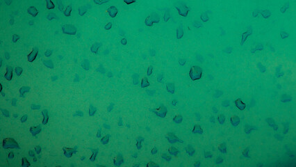 Water droplets on green background. 