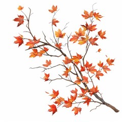 Branch with vibrant red and orange autumn leaves isolated on a white background