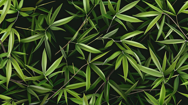 Bamboo leaves on black background for naturethemed designs, Asianinspired graphics, environmental conservation campaigns, and wellness product packaging concepts.