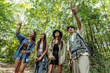 Group of Asian backpacker people having fun travel in forest together. 