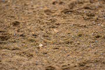 texture of sand from a baseball field