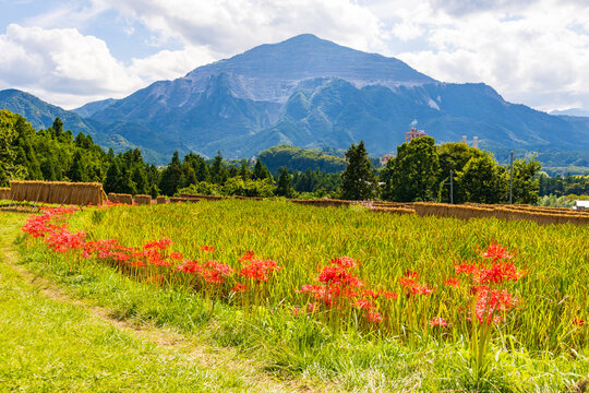 武甲山」の写真素材 | 974件の無料イラスト画像 | Adobe Stock