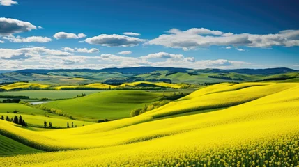 Poster Abstract natural sunny eco seasonal floral background. Picturesque countryside landscape. blooming rapeseed or canola fields, green rows and trees.  © ribelco