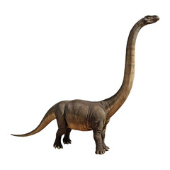 Brachiosaurus, Diplodocus, Brontosaurus dinosaur on transparent background Generative AI
