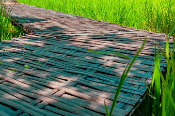 Bamboo walkway in rice fields