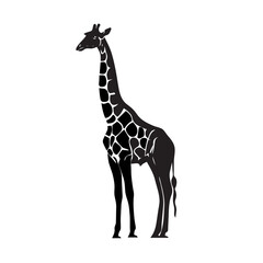  Elegant Giraffe Silhouette Illustration. Monochrome vector illustration of an elegant giraffe standing tall, depicted in a stylized silhouette with distinctive patterns.