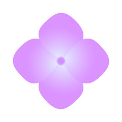 Fototapeta premium シンプルな紫の紫陽花の花