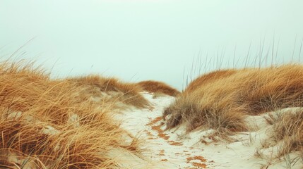 a sand dune is the most beautiful place in the world - obrazy, fototapety, plakaty