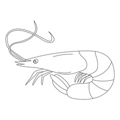 Sea Animal Clipart. Outline Shrimp Clipart