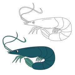 Sea Animal Clipart. Shrimp Clipart Set. Colorful and Outline Shrimps