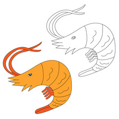Sea Animal Clipart. Shrimp Clipart Set. Colorful and Outline Shrimps