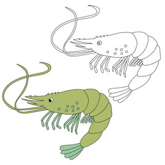 Sea Animal Clipart. Shrimp Clipart Set. Colorful and Outline Shrimps