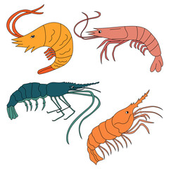 Sea Animal Clipart. Colorful Shrimp Clipart Set