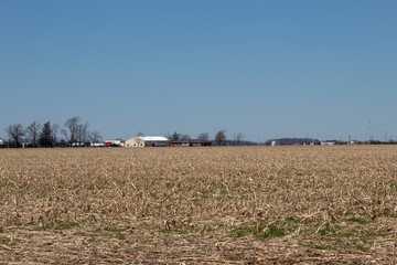 Corn field after harvested with corn stover. 