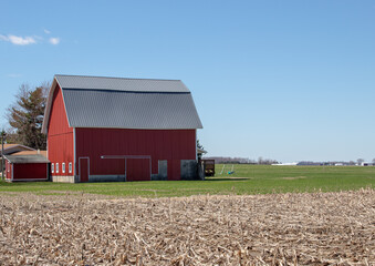 Obraz premium A large red barn next to a cornfield after harvest.