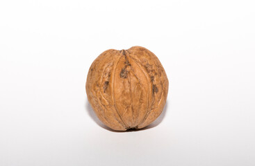 Walnuts are rounded, single-seeded stone fruits of the walnut tree. Tricuspid walnut.
