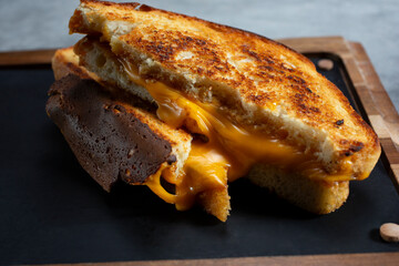 A closeup view of a grilled cheese sandwich.