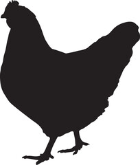 Silhouette of a hen chicken illustration