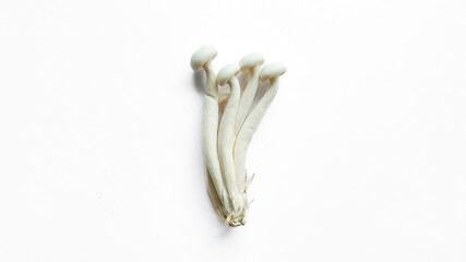 Fresh enoki mushrooms isolated on white background with copy space, ideal for culinary themes and healthy eating concepts