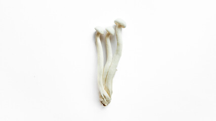 Top view of fresh white enoki mushrooms isolated on a white background with space for text, suitable for food-related concepts