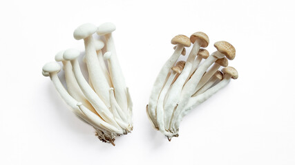 Fresh enoki and shimeji mushrooms on a white background with copy space, ideal for culinary concepts and vegan nutrition