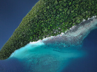Local ecotourism resort on Batana Island in Indonesia's New Guinea where rainforest meets the reef, West Papua