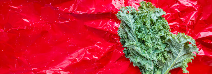 Fresh kale leaf on a crumpled red background with space for text, ideal for healthy eating concepts or vegetarian food themes