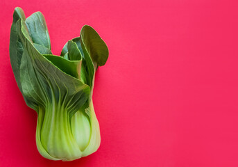 Fresh bok choy on a vibrant red background with ample copy space, ideal for healthy eating and culinary concepts - obrazy, fototapety, plakaty