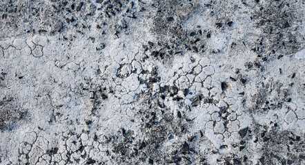 Textured background of cracked grey soil with scattered stones, ideal for environmental themes, with space for text