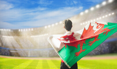 Wales supporters. Welsh football fans on stadium.