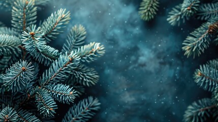 Naklejka na ściany i meble Natural Winter Holiday Forest Backdrop with Moody Dark Toned Fir Tree Brunch Close Up for Seasonal Quotes - Vintage December Wallpaper