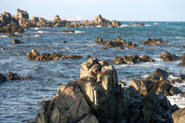 View of the surf at the rocky seaside