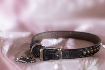 Dog collar on pink satin cloth symbolizing love.