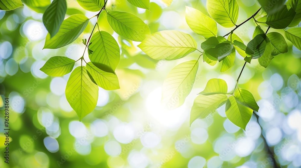 Aufkleber blurred greenery leaves of tree forest : generative ai