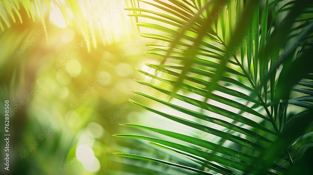 Poster coconut tree leaves blur in spring for nature background : generative ai