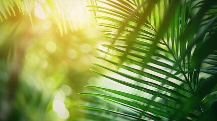 Coconut tree leaves blur in spring for nature background : Generative AI