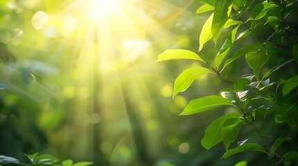 Blur image of Sun rays shines through forest treesnature of green leaf in garden at summersunlight spring summer concept nature background : Generative AI - obrazy, fototapety, plakaty