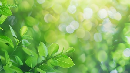 Fototapeta na wymiar green blurred background of green leaves in the day time : Generative AI