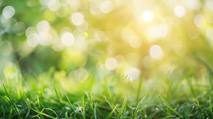 natural grass field background with blurred bokeh and sun rays : Generative AI