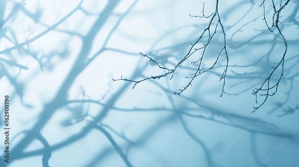 Aufkleber Minimalistic abstract gentle light blue background for product presentation with light and intricate shadow from tree branches on wall : Generative AI