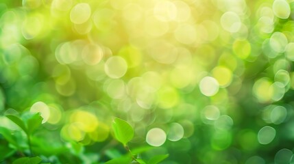 Obraz premium abstract blur green color for backgroundblurred and defocused effect spring concept for designnature view of blurred greenery background in garden using as background naturalfresh wall : Generative AI