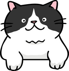 Cute Cartoon Cat Head Character