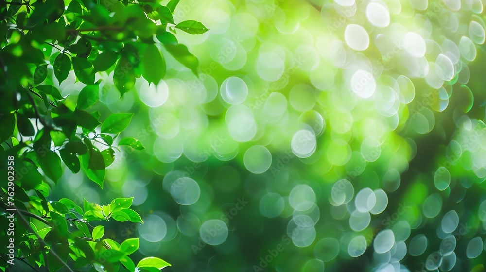 Leinwandbilder green color abstract blur bokeh background from tree and light in natural garden : generative ai